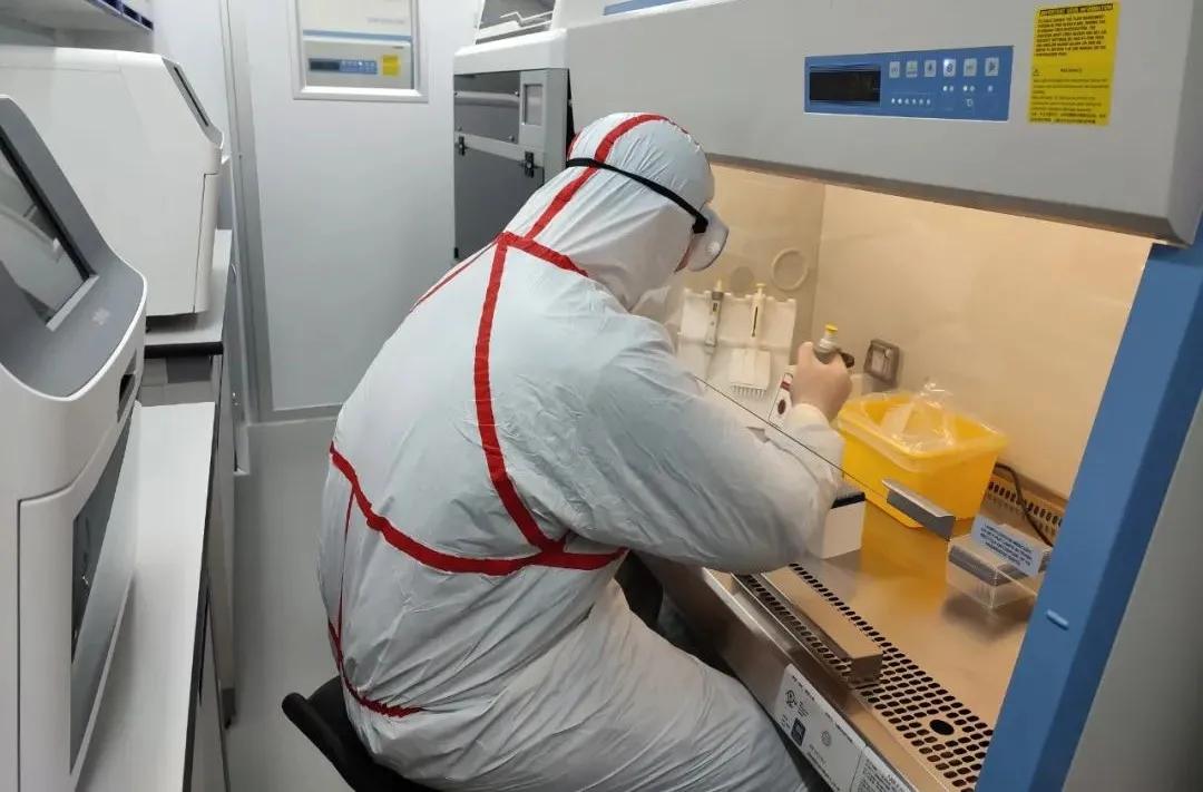 市疾控中心工作人员正在移动方舱PCR实验室样本制备室进行加样检测。